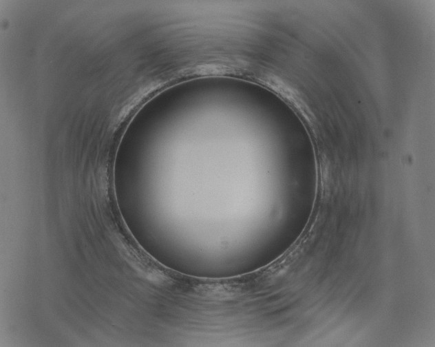 X0000076340297200610061507