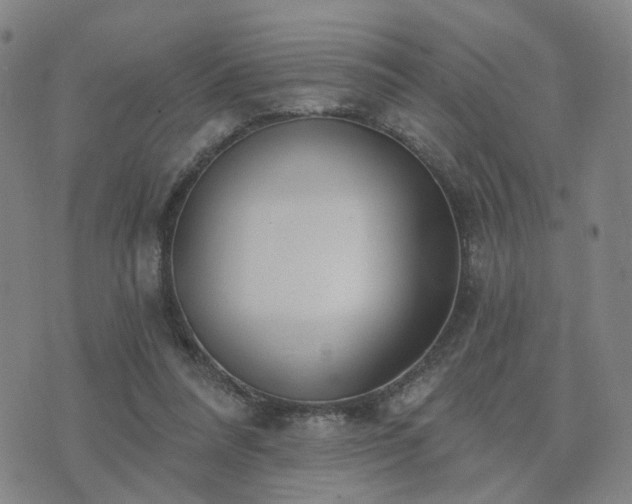 X0000076340304200610061507