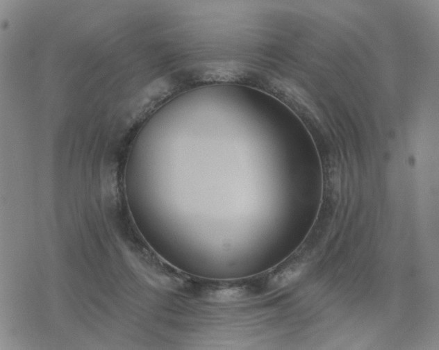 X0000076340312200610061507
