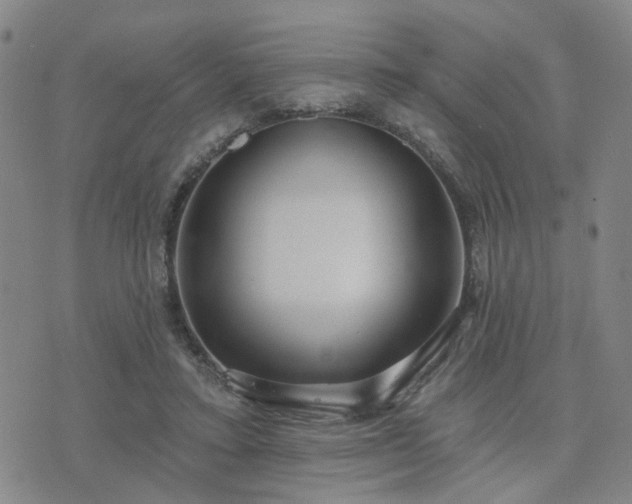 X0000076340403200610061506