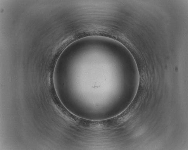 X0000076340454200610061505