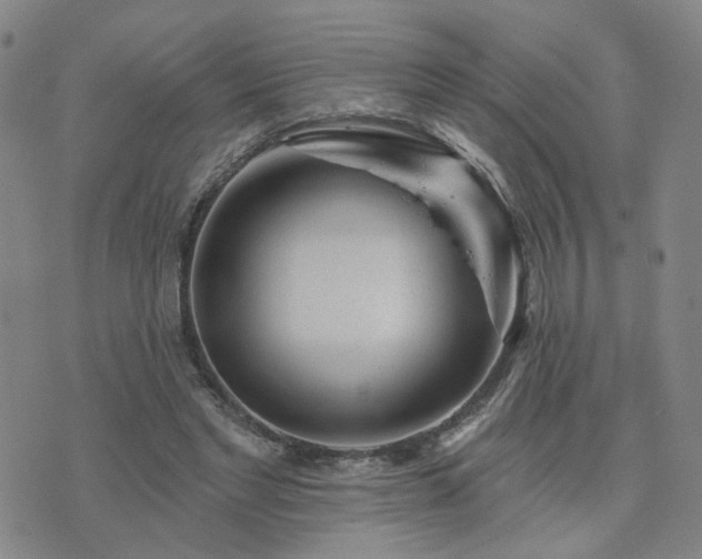 X0000076340493200610061504