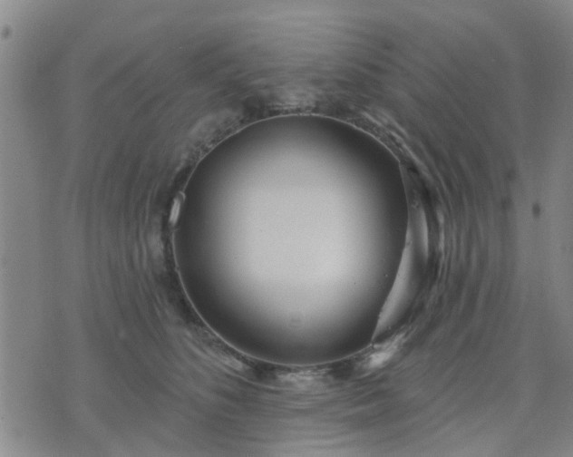 X0000076340516200610061504