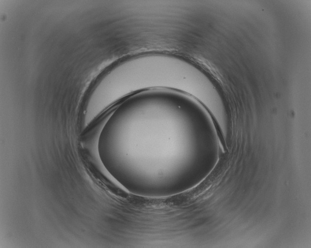 X0000076340540200610061503