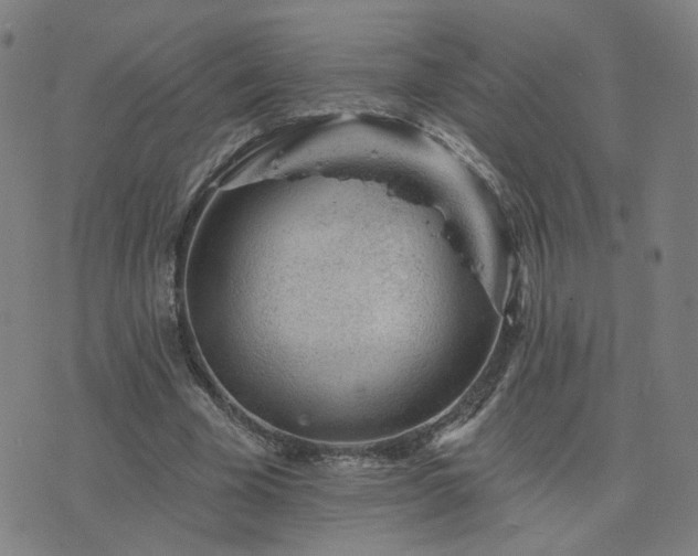 X0000076340585200610061503