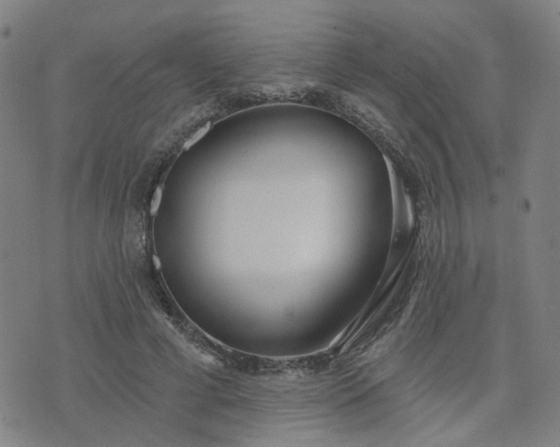 X0000076340593200610061503