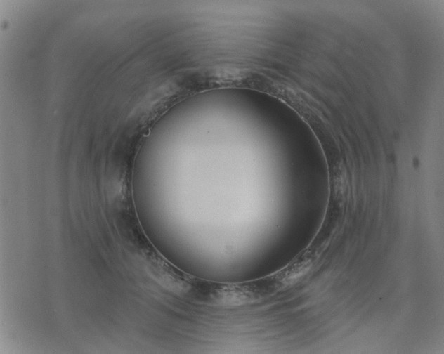 X0000076340608200610061502