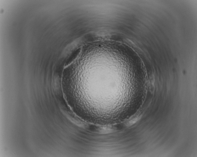 X0000076340623200610061502