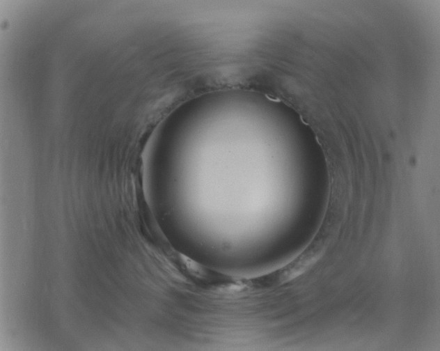 X0000076340624200610061502