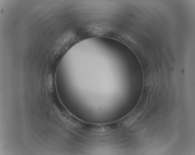 X0000076340646200610061502
