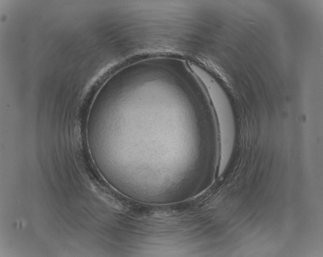 X0000076340684200610061501