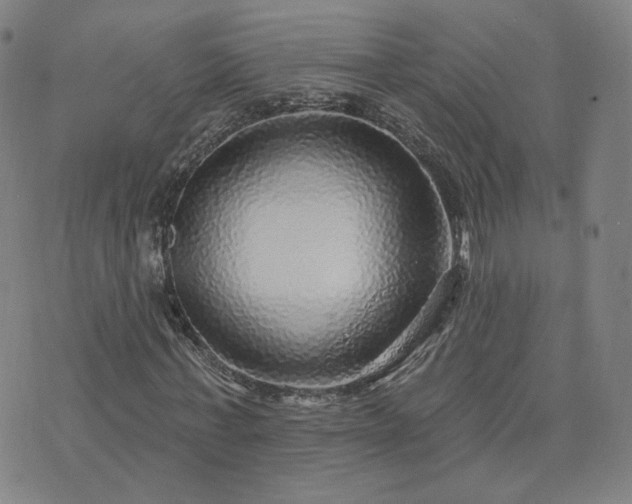 X0000076340771200610061500