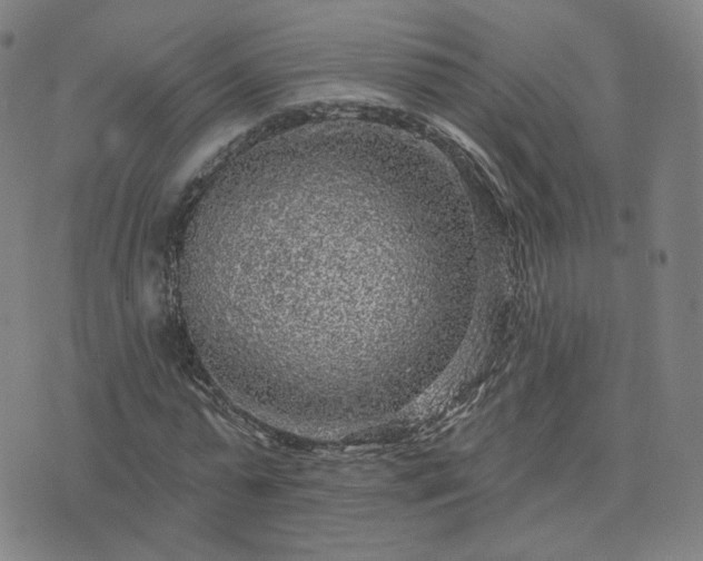 X0000076340775200610061500
