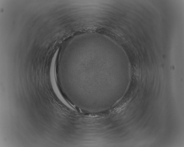 X0000076340818200610061458