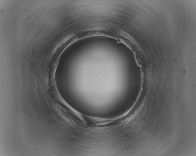 X0000076340826200610061458