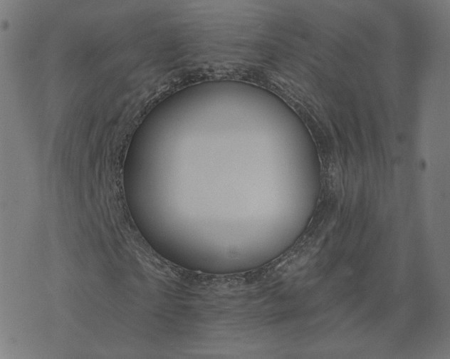 X0000076340865200610061458