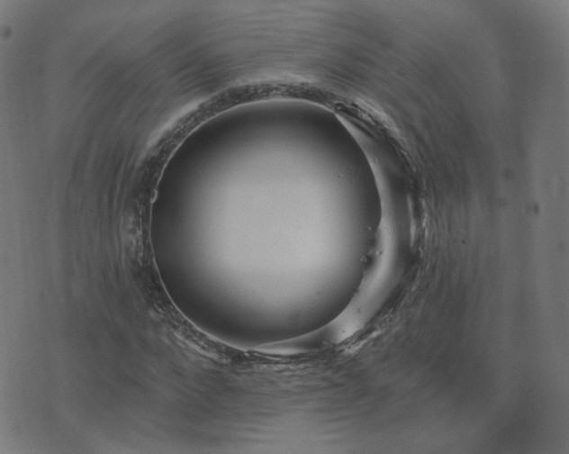 X0000076340872200610061458