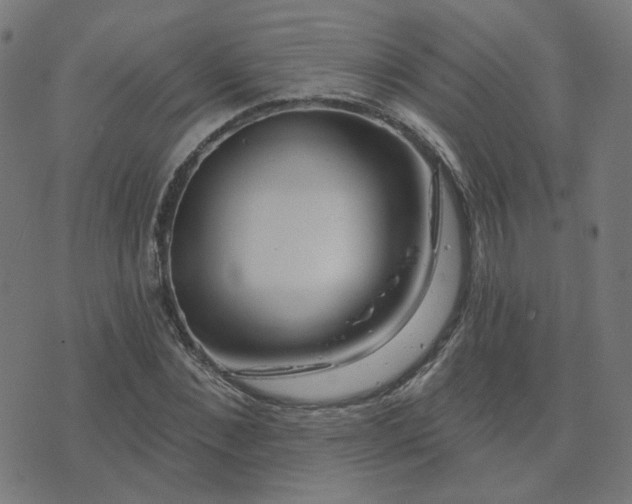 X0000076340876200610061458