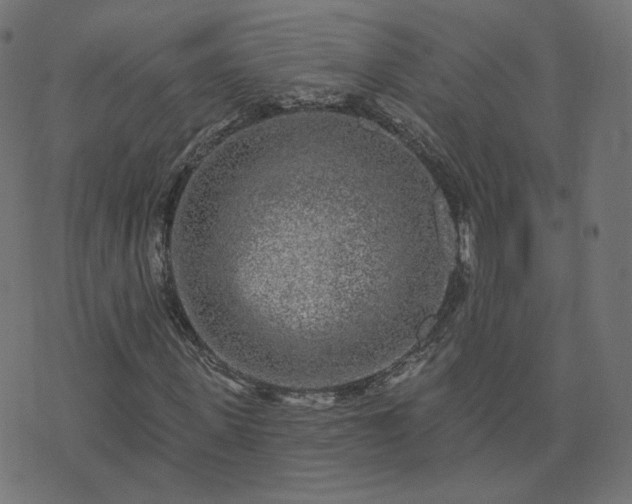 X0000076340915200610061457