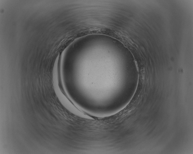X0000076340916200610061457