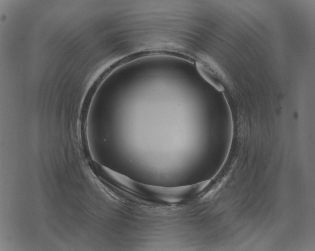 X0000076340932200610061457