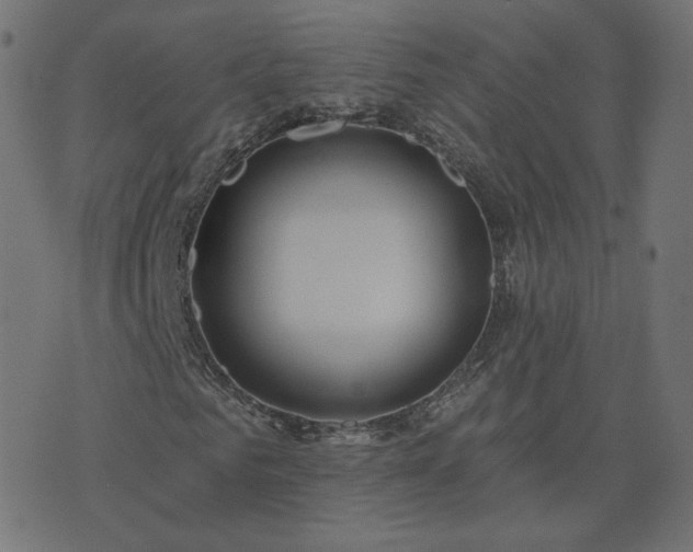 X0000076340961200610061457
