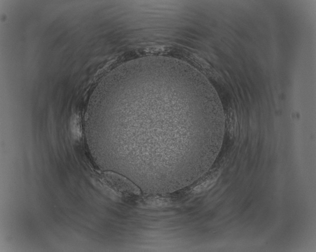 X0000076340962200610061457