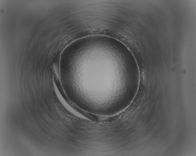 X0000076340963200610061457