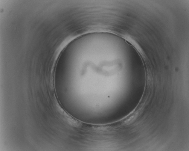 X0000076341004200610061456