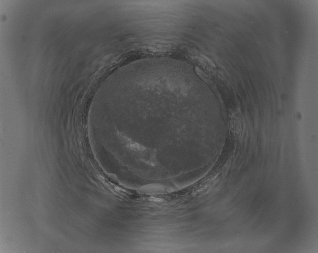 X0000076341009200610061455