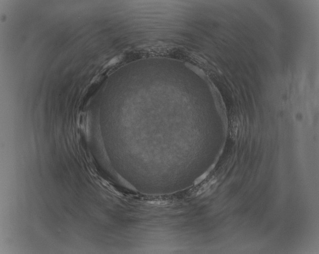 X0000076341010200610061455