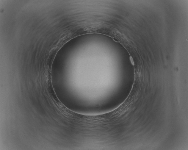 X0000076341012200610061455