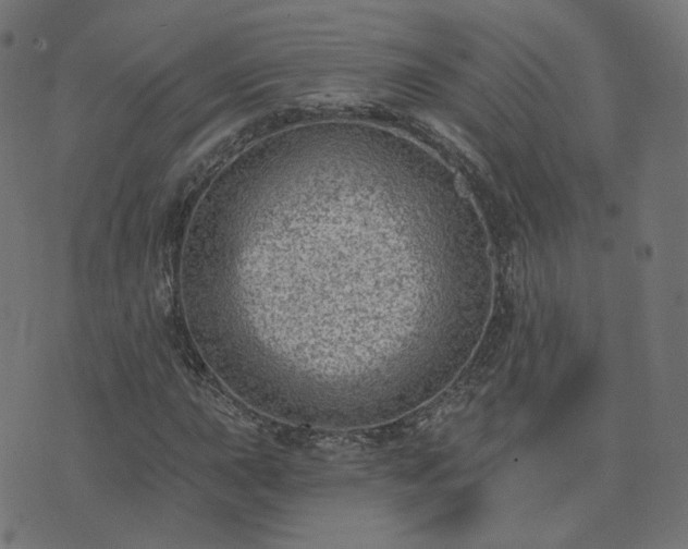 X0000076341015200610061455