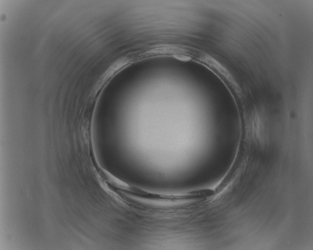 X0000076341049200610061456