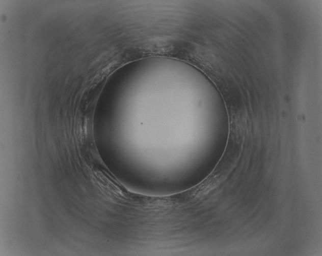 X0000076341058200610061455