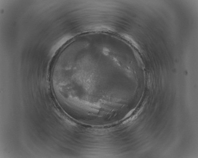 X0000076341071200610061455