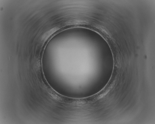 X0000076341073200610061455