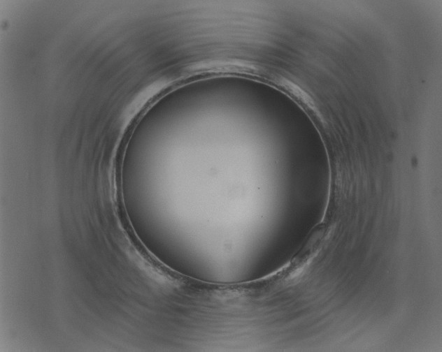 X0000076341082200610061455