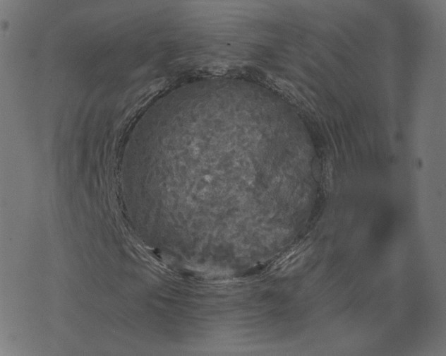 X0000076341105200610061453