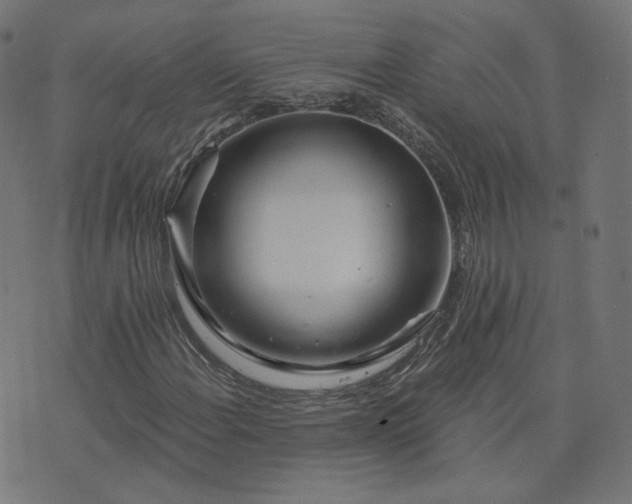 X0000076341108200610061453