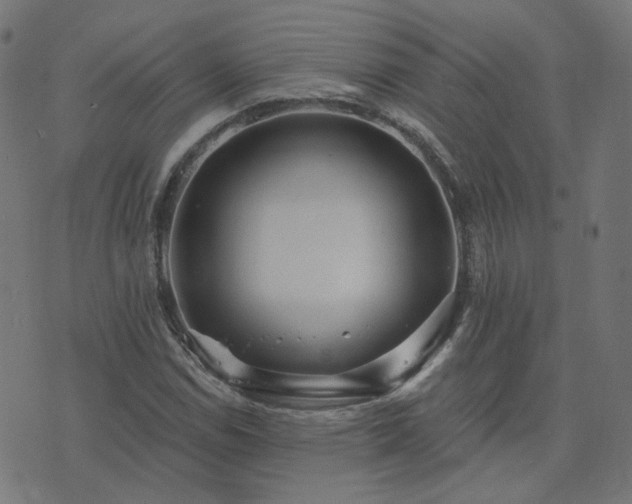 X0000076341114200610061454