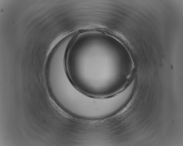 X0000076341122200610061454