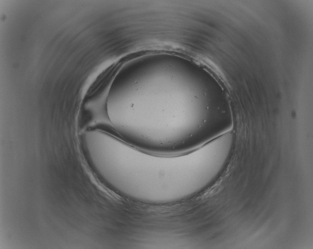 X0000076341128200610061454