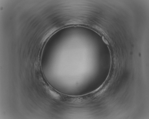 X0000076341129200610061454