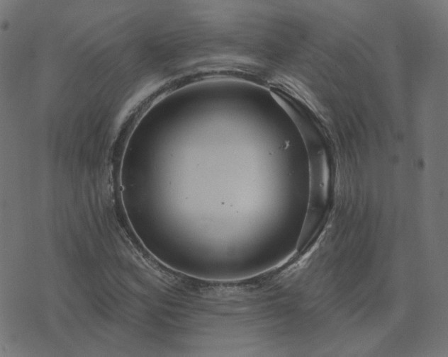 X0000076341164200610061453