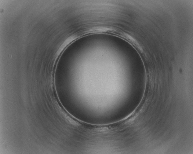 X0000076341186200610061453