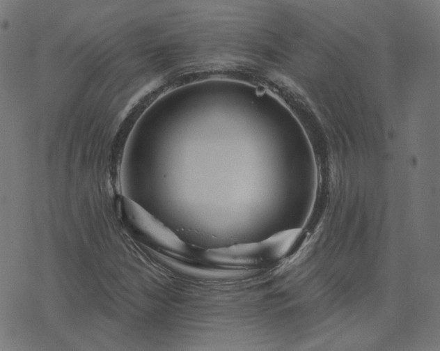 X0000076341210200610061452