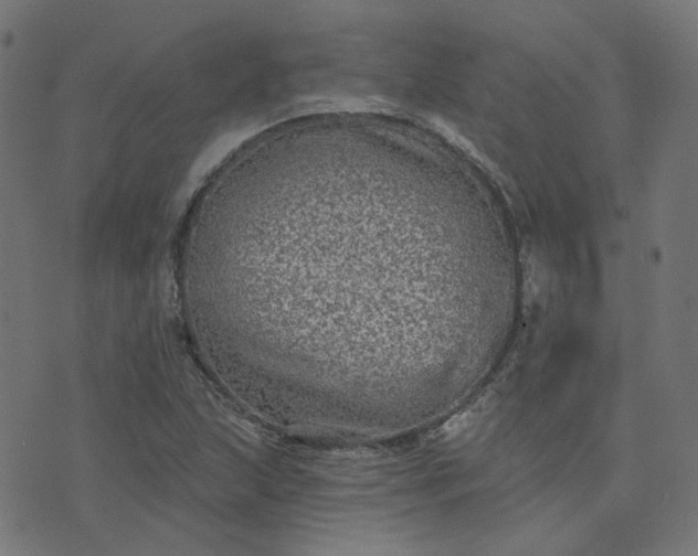 X0000076341215200610061452
