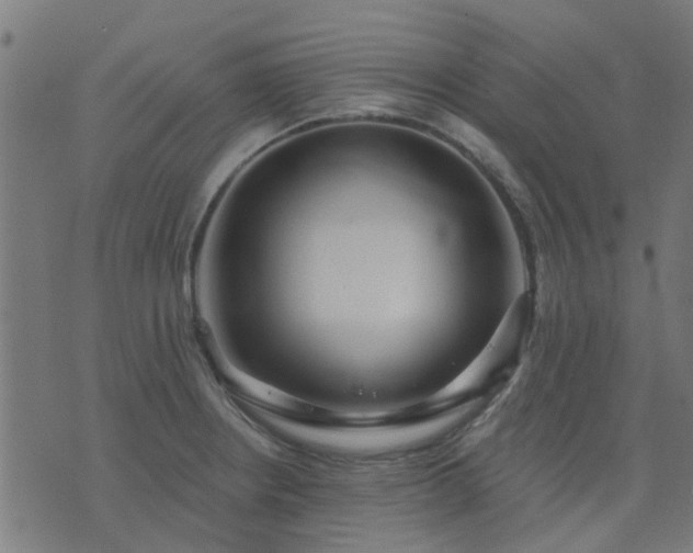 X0000076341234200610061452