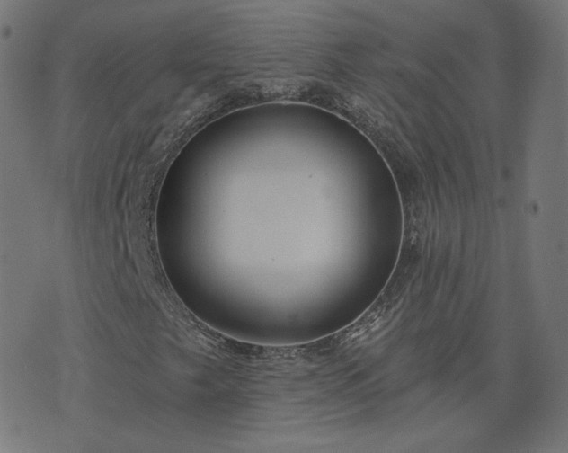 X0000076341249200610061452